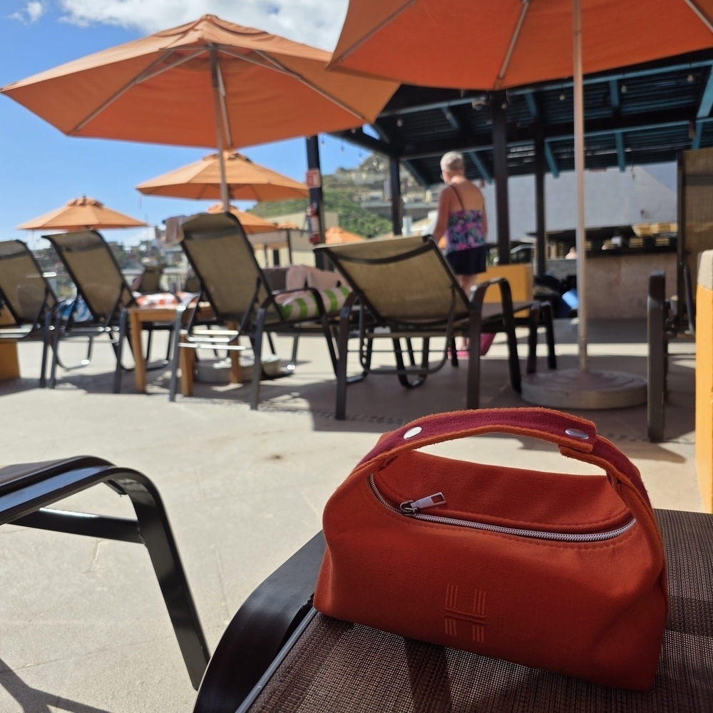 Stylish Orange Women Pouch Bag